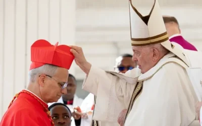 Como Francisco preparou o caminho para o seu sucessor, Leão XIV